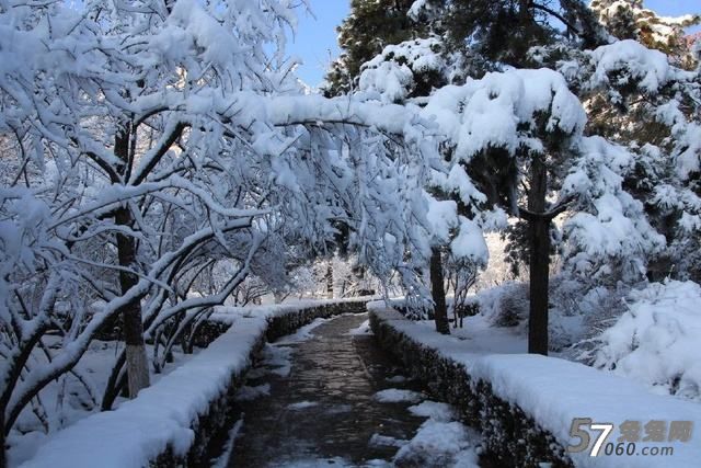 北京养生会所,大雪,进补,食物