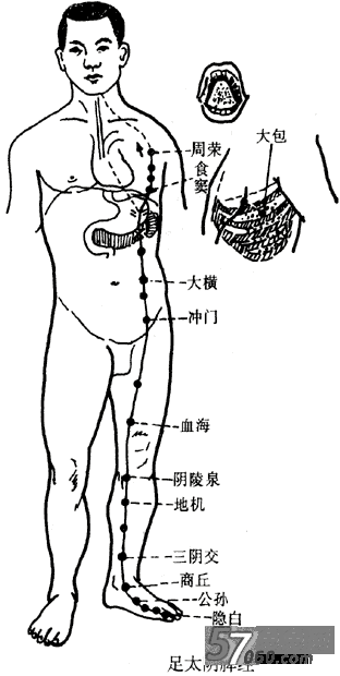 兔兔网,脾经,按摩,养生,穴位