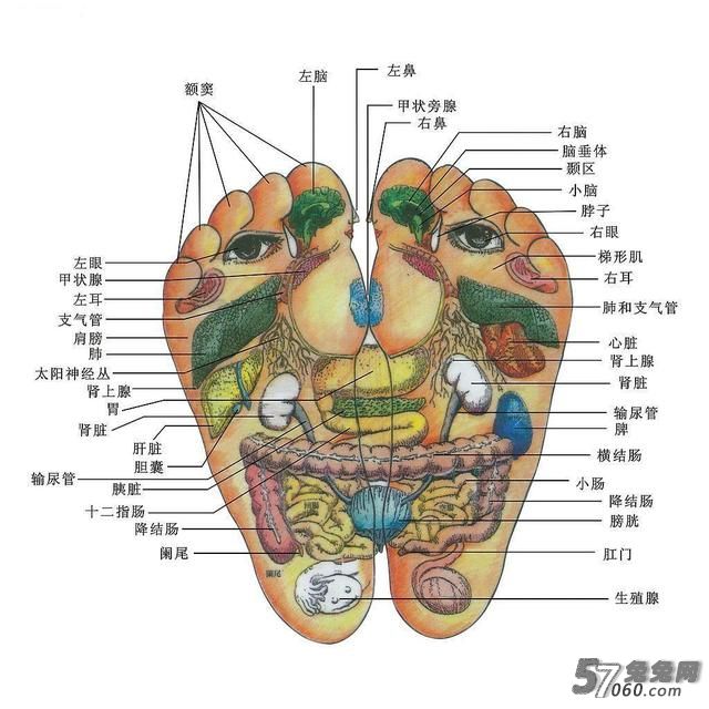 兔兔网,养生,泡脚,北京养生,高端养生