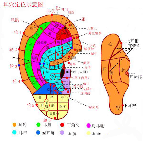 耳朵按摩